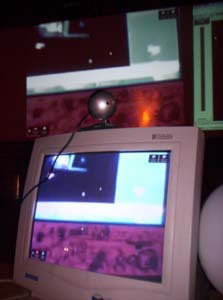 OrganiRandom - Excentra