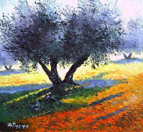 olivo1 olivo