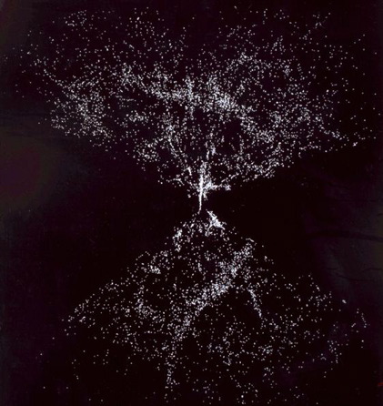 Transferencia de Universos